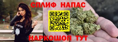спиды Моздок
