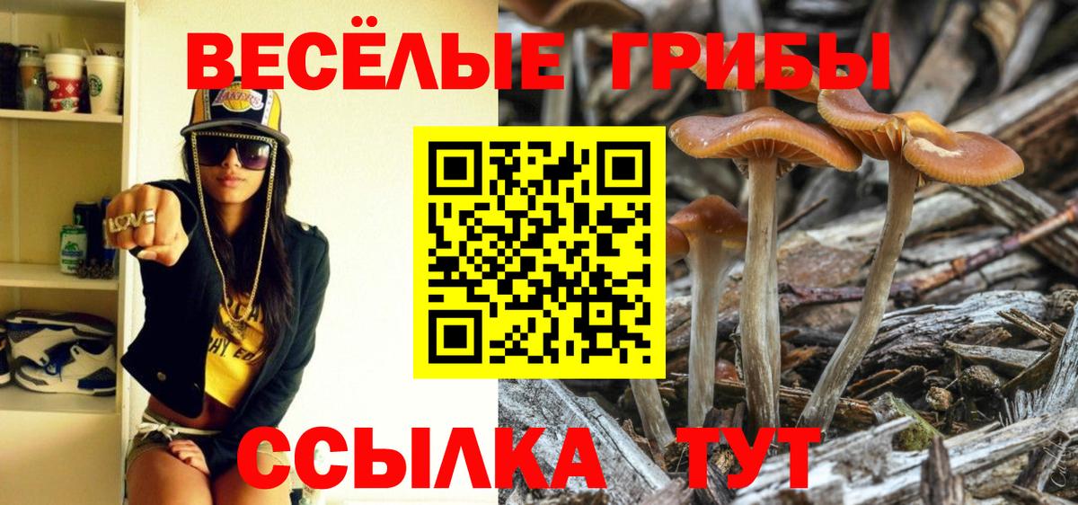 Нижний Новгород  Псилоцибиновые грибы Magic Shrooms  Вход с VPN  Псилоцибиновые грибы Psilocybe 